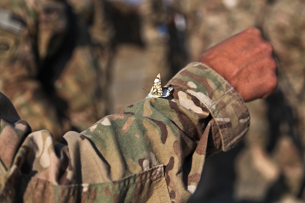 The Art of War - Cultural Reflections in Military Art